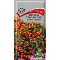 Бархатцы тонколистные Красный самоцвет