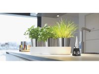 WMF Набор горшков с автополивом, 4 предмета Gourmet WMF