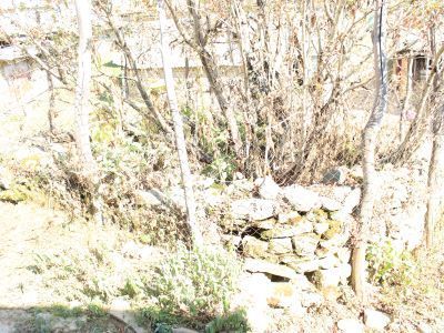 Могила святого