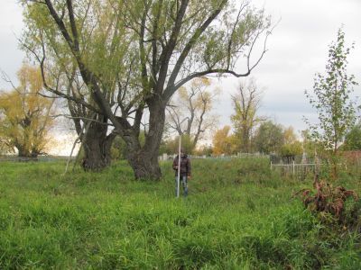 Братская могила борцов, погибших за установление Советской власти на Обь-Иртышском Севере