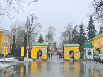 Ворота главного входа