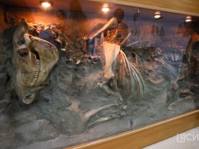 В Якутске открылась выставка уникальных археологических находок