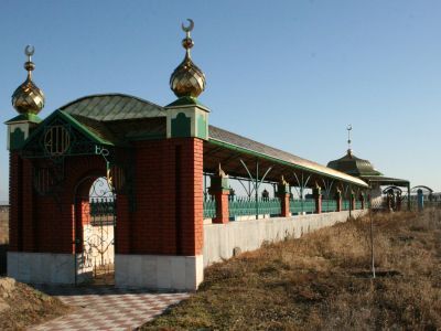 Зиярт Докки-Шейха