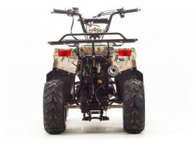 Квадроцикл MOTOLAND 110 Rider (2021 Г.)