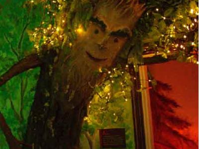 Свободное посещение музея