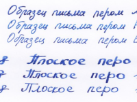 Набор ручка перьевая LAMY Safari, F, Зеленый+Картр. черн.+чернила син.+конвертер
