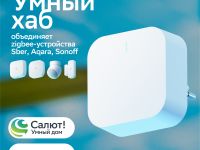 Умный хаб Sber SBDV-00068 белый