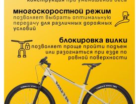 Горный велосипед Atom Bion Nine 20, год 2024, цвет Коричневый, ростовка 18.5