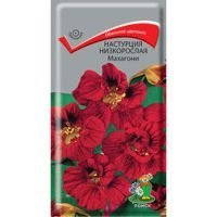 Настурция низкорослая Махагони