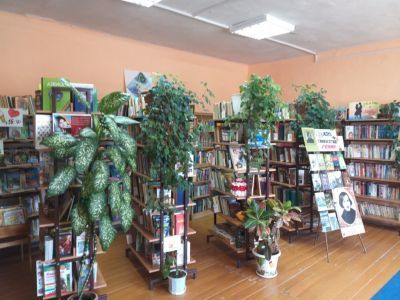 Библиотека № 15 п. им. Кирова