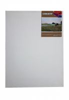 Холст на подрамнике грунтованный Реалистик СПЕКТР мелкозернистый 20x30 см