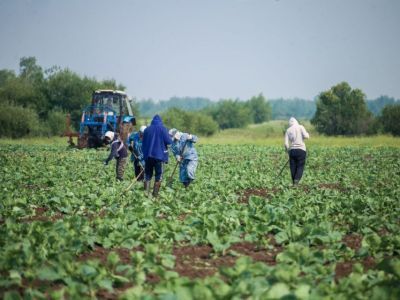 В Якутии среди предпринимателей и самозанятых проводят фотоконкурс
