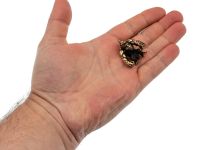 Бусина для темляка Крепыш, латунь