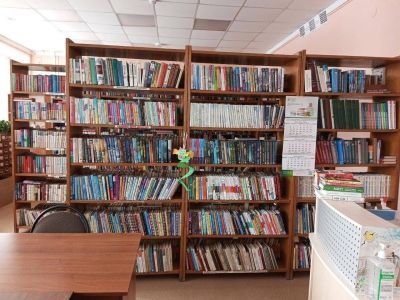 Лядовская библиотека