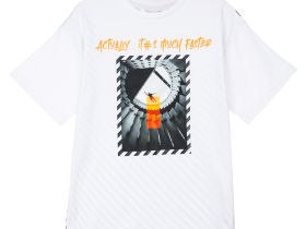 Фуфайка трикотажная для мальчиков (футболка)