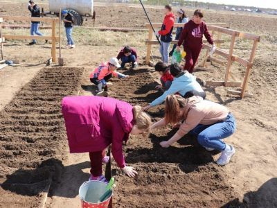 В Якутии восстанавливают популяцию лилии пенсильванской
