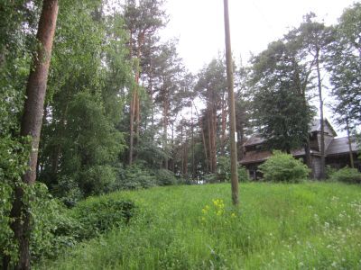 Усадебный парк