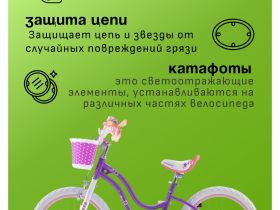 Детский велосипед Royal Baby Stargirl 18, год 2023, цвет Фиолетовый