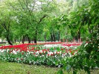 Музей-усадьба «Люблино»