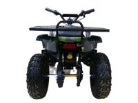 Электроквадроцикл MOTAX Grizlik X16 New E1000