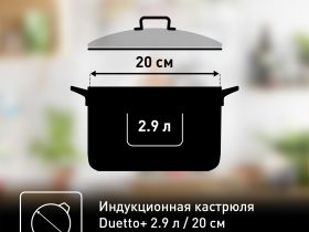 Кастрюля с крышкой Tefal Duetto+ 2.9 л 20 см G7194455