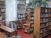 Медведовская библиотека