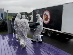 Мамонтёнка возрастом 130 тысяч лет транспортировали из Владивостока обратно в Якутск