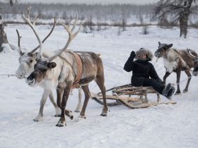 Автопутешествие Якутск - Оймякон - Магадан (Зимний сезон)