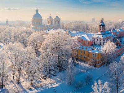 Летучая мышь