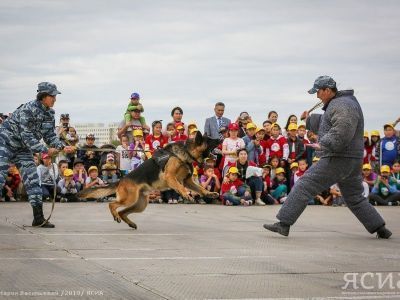 Найти наркотики и обезвредить преступника. В Якутске кинологи провели показательные выступления