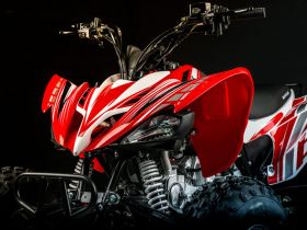 Квадроцикл MOTOLAND 250S