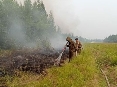 Глава Якутии предложил на Дальнем Востоке создать единый центр по противодействию лесным пожарам