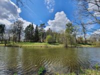 Усадьба Демидовых в Тайцах