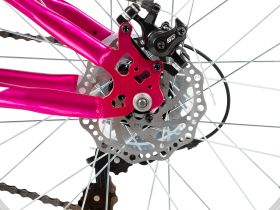 Детский велосипед Foxx Jasmine 20 Disc, год 2026, цвет Красный-Розовый