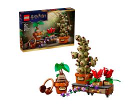 Harry Potter 76474 Конструктор LEGO HARRY POTTER Растения с урока Травологии