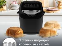 Хлебопечка Moulinex Pain&Tresors OW251E32