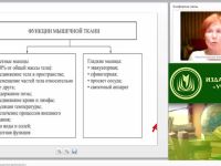 Международный вебинар "Физиология и гигиена мышечной деятельности"