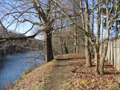 "Английский сад" за прудом – роща "Рагово"