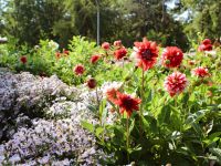 Атажукинский сад