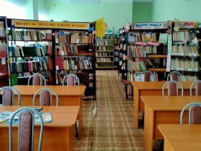 Шалинская сельская библиотека