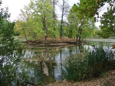 Усадьба Архангельское-Тюриково