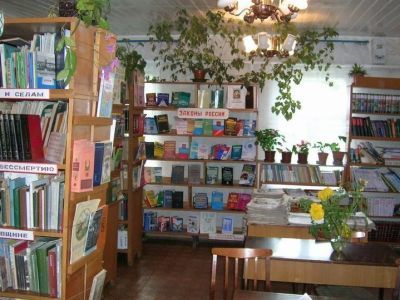 Досчатинская поселковая библиотека № 2