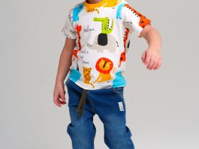 Фуфайка детская трикотажная для мальчиков (футболка)