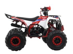 Квадроцикл MOTAX Grizlik A125