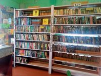 Борзовская сельская библиотека – филиал № 35