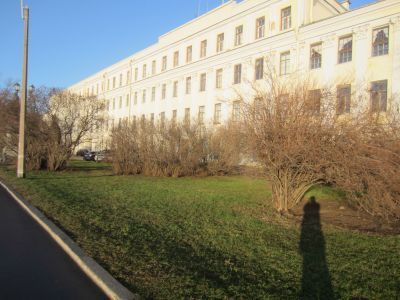 Палисадник перед главным фасадом дворца