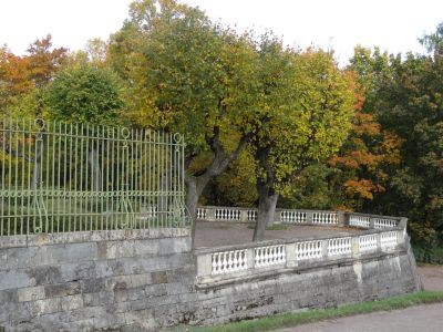 Терраса Собственного садика и металлическая ограда