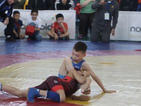 На республиканском турнире в Олекминском улусе определены лучшие борцы