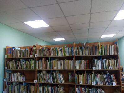 Янгискаинская сельская библиотека