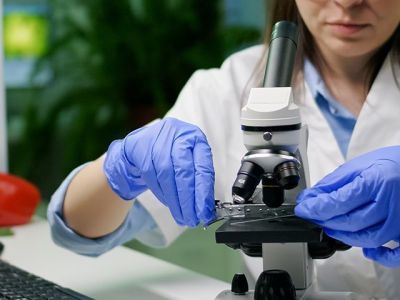 В ЕС разрешат некоторые виды ГМО